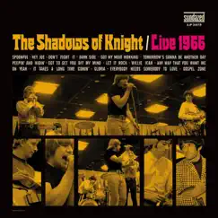Live 1966 by The Shadows of Knight album reviews, ratings, credits