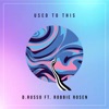Used to This (feat. Robbie Rosen) - Single