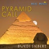 Pyramid Call, 2010