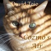 Cozmo's Air - Single