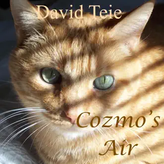 Cozmo's Air - Single by David Teie album reviews, ratings, credits