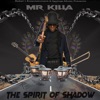 The Spirit of Shadow - Single, 2023