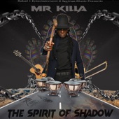 The Spirit of Shadow artwork