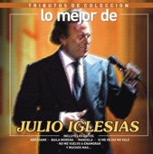 Tributos de Colección / Lo Mejor de Julio Iglesias artwork