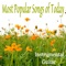 New Rules (Instrumental Version) - Steve Petrunak lyrics