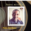 Ngena Msindisi
