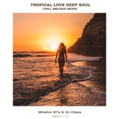 Tropical Love (feat. Chill Melodic) [Extended Mix] artwork