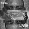 Elevation album lyrics, reviews, download