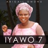 Iyawo 7