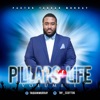 Pillars of Life: Volume I - Single