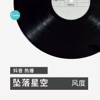 风度 - 坠落星空 (抖音热播版)
