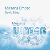 Message from the Water - Masaru Emoto