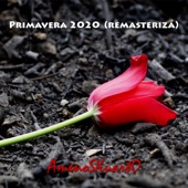 Primavera 2020 (Remasterizá) artwork