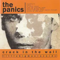 Crack In The Wall by The Panics album reviews, ratings, credits