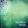 Meditative Nature