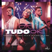 Tudo Ok artwork