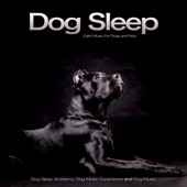 Dog Sleep: Calm Music For Dogs and Pets artwork