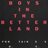 FONTAINES D.C. - Boys In The Better Land
