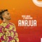 Anajua - Dogo Janja lyrics