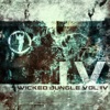 Wicked Jungle, Vol. 4