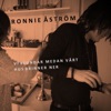 Vi blundar medan vårt hus brinner ner by Ronnie Åström iTunes Track 1