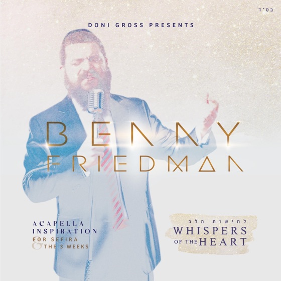 Cover artwork for V'zakeini (feat. Baruch Levine)