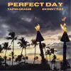 Perfect Day (feat. Tapri Grams) - Single album lyrics, reviews, download