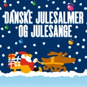Danske Julesalmer Og Julesange artwork