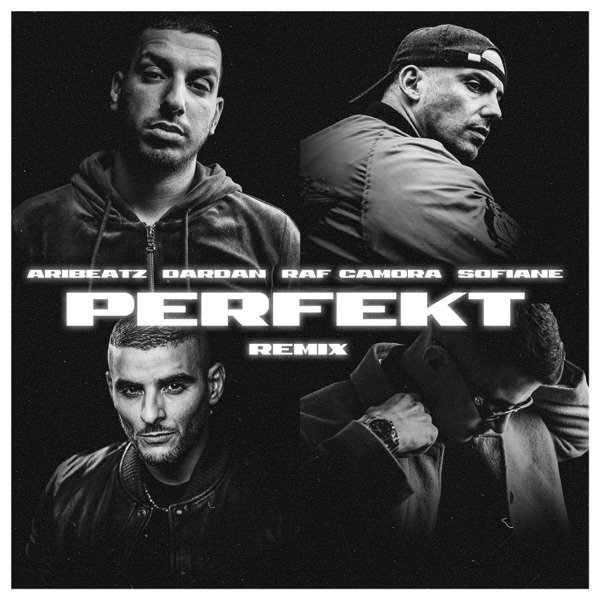 Perfekt (Remix) [feat. Dardan, RAF Camora & Sofiane] - Single - AriBeatz