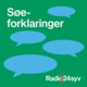 Sammendrag - Sociale medier & hvad er humor?