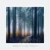 Misty Morning album lyrics, reviews, download