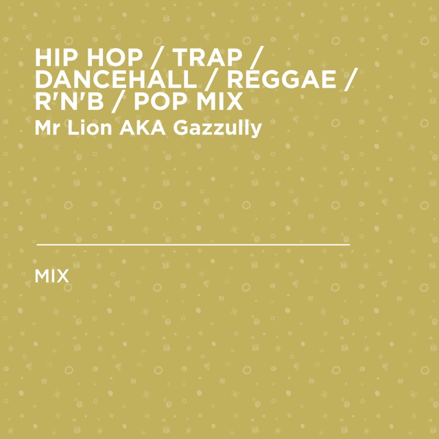 HIP HOP / TRAP / DANCEHALL / REGGAE / R'N'B / POP MIX (DJ Mix) Album Cover