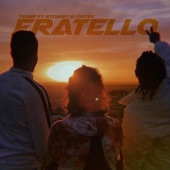 Fratello artwork