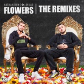 Flowers (feat. Jaykae) [The Remixes] - EP artwork
