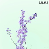 Sakura - EP artwork