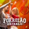 Forrozão Sertanejo, 2019