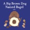 A Big Brown Dog Named Bagel artwork