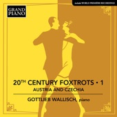 20th Century Foxtrots, Vol. 1: Austria & Czechia artwork