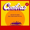 The Best of Chicha: Cumbias Vol. 2 - Spicy Tropical Sounds From Perú, 2014