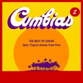 The Best of Chicha: Cumbias Vol. 2 - Spicy Tropical Sounds From Perú