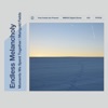 Endless Melancholy - Moments We Spent Together