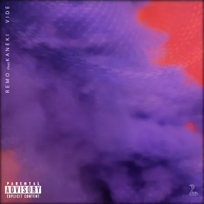 Vide (feat. Kaneki) - Single - Remo