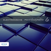 Elektronische Musikaspekte, Vol. 6 artwork