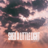 Shed a Little Light (feat. Sarah Pumphrey) artwork