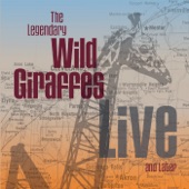 The Wild Giraffes - Right Now (Live)