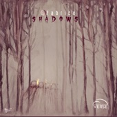 Shadows (Radio Edit) artwork
