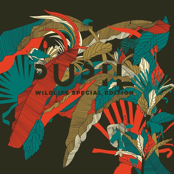 Cover artwork for Matador
