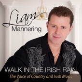 Walk in the Irish Rain artwork