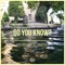 Do You Know? (feat. Cameron J.) - Alex Greenhouse lyrics