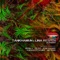 Acidized - Lina Respen & TANKHAMUN lyrics
